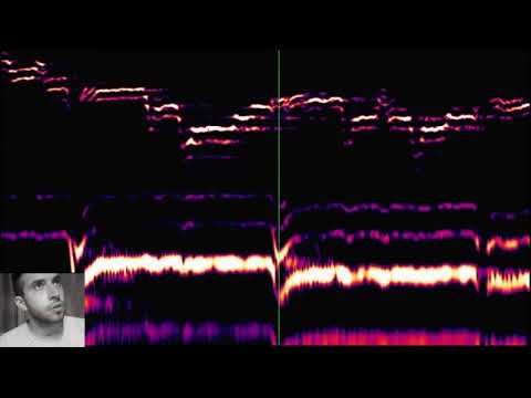 Polyphonic Overtone Singing - Greensleeves - Canto Difonico armonico avanzato - Giovanni Bortoluzzi