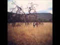 Blackfeet Braves - Oh So Fine 