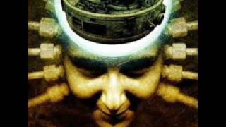 Blood Has Been Shed - Cortisone