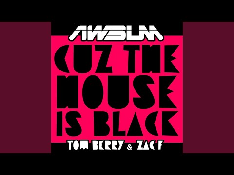 Cus The House Is Black (Original Mix)