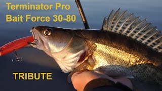Fox rage terminator bait force 250 30-80
