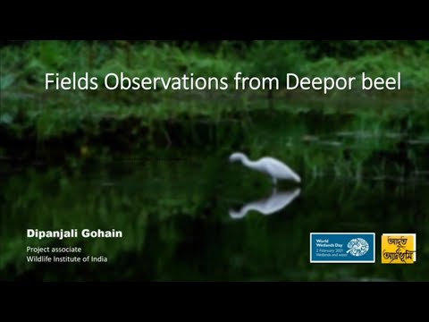 Field observations from Deepor Beel || Dipanjali Gohain || Lecture series