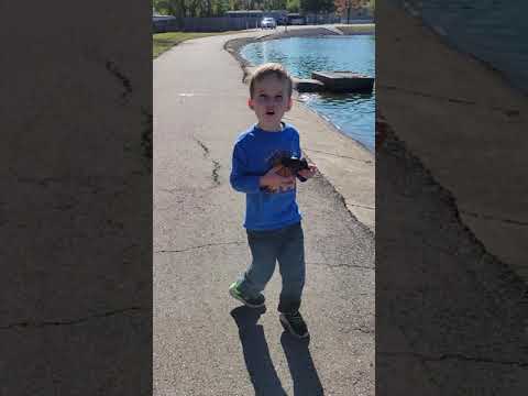 Testing the Batman All-Terrain Batmobile Remote Control Vehicle