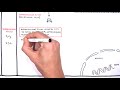 Overview Of Fluid And Electrolyte Physiology Fluid Compartment