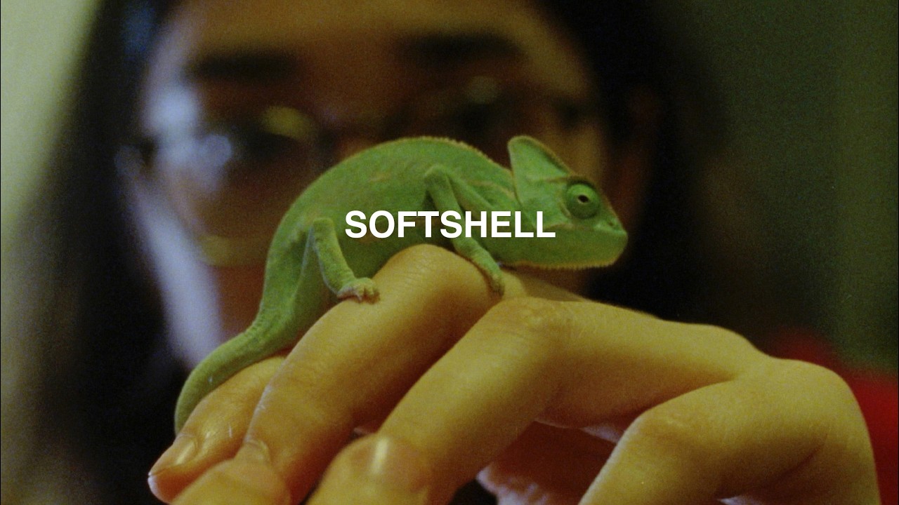 Miniature de la vidéo SOFTSHELL /// TRAILER du film Softshell