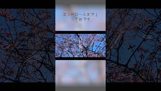 明日に向かって！ #vocaloid #ボカロ #重音テト