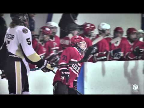 2016 MAHA Bantam AA State Final - USA Eagles vs. Oakland Jr. Grizzlies