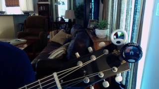 Video thumbnail for Snark HZ-1 Tuner In-Depth Review by Bryan Haywood