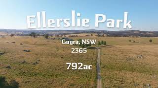 141 Brushy Creek Road, BRUSHY CREEK, NSW 2365