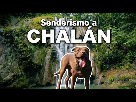 Senderismo con mis PITBULLS 🐶🍃 | Ruta turística CHALÁN Sucre ✅