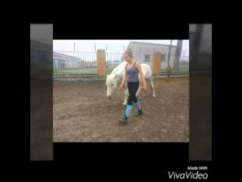 Tagebuch- ado kojo feat motrip / pueppessi