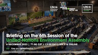 Briefing on the 6th Session of the United Nations Environment Assembly