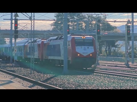 Intercity 50 arrives and departs from Leianokladi station (Athens-Thessaloniki) 24/11/2025