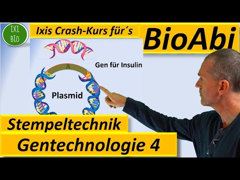 Gentechnik 4 - Stempeltechnik zum Identifizieren gentechnisch veränderter Plasmide Gentechnologie