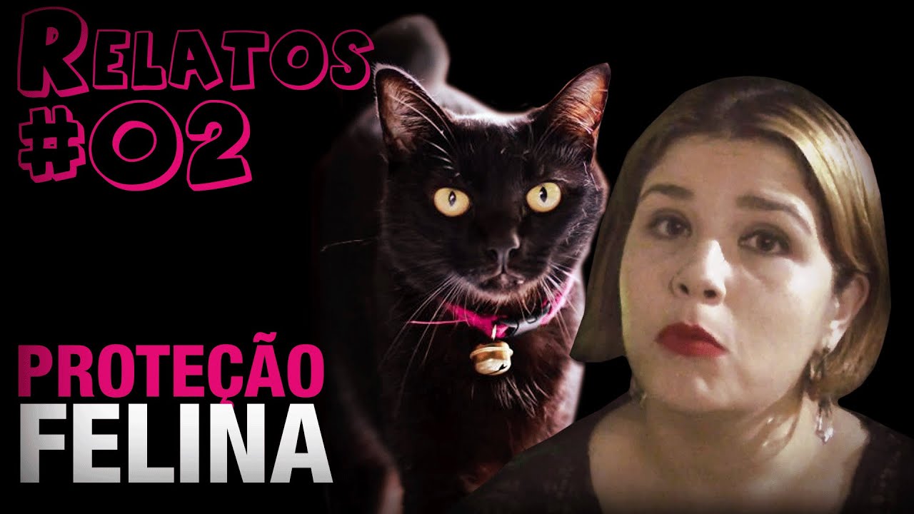 Proteção Felina (#02 - Histórias Assombradas!)