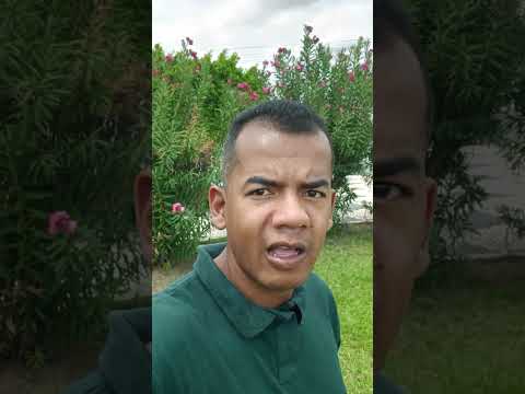 na orla fluvial de Petrolândia Pernambuco