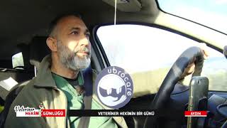 VETERİNER HEKİMLİKTE HASTA MUAYENESİ VE TEDAVİSİ | VETERİNER HEKİM GÜN