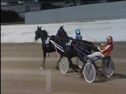 Trotto 16/11/2018 - 6ª corsa