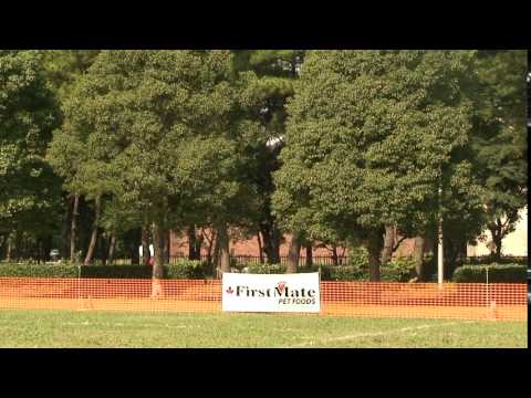 2015.10.03.awi.japan trail