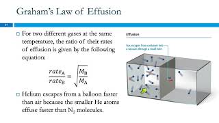 6.9 Mean Free Path, Diffusion, & Effusion of Gases