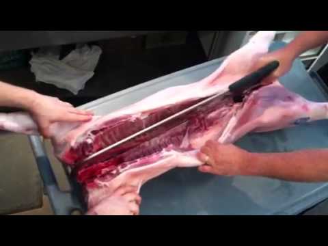 download lagu mp3 mp4 How To Butterfly A Whole Pig, download lagu How To Butterfly A Whole Pig gratis, unduh video klip How To Butterfly A Whole Pig