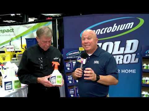 Concrobium Duo Blast Mold Control at Do it Best