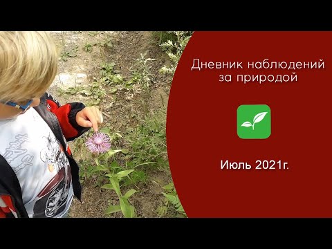 Дневник наблюдений за природой... ИЮЛЬ (2021 г.)