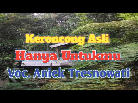 Main Keroncong Asli  Kr Hanya Untukmu  Voc Aniek Tresnowati  Kolabirasi Virtual