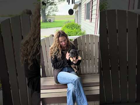 Video 4