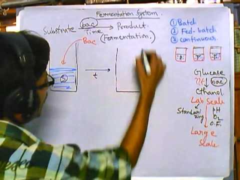 download lagu mp3 mp4 Batch Type Fermentation, download lagu Batch Type Fermentation gratis, unduh video klip Batch Type Fermentation