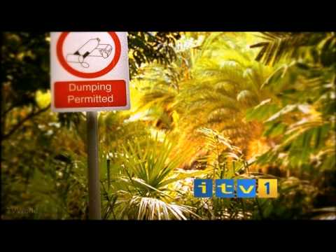 ITV1 ident 2005 - Celebraty Love Island - Forest