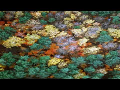 OWNTRIP - Live Set Autumn 2019 [Psytrance]