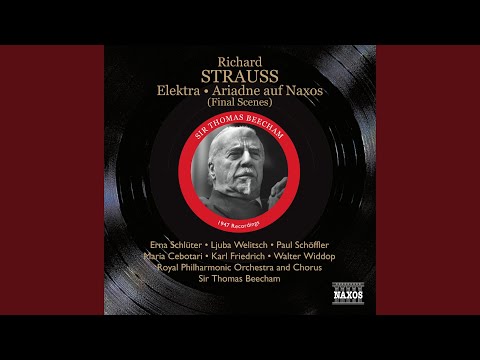 Elektra! Elektra! (Orest, Elektra)