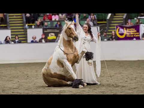 Amber Buresh - Liberty Horse Highlights