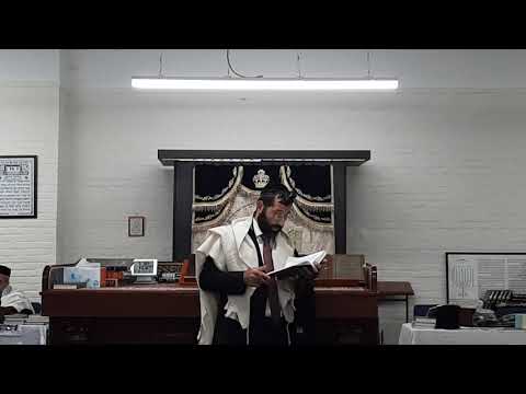 Halachot of saying the 13 midot (vayaabor)