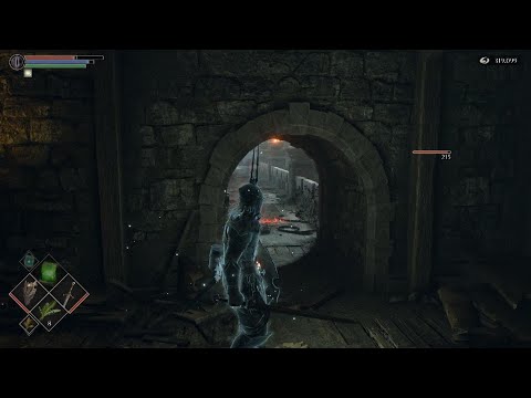 Demon's Souls(Old King Doran, Poison trick)