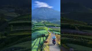 Download lagu Titip Ka Angin mp3 Download lagu Titip Ka Angin mp3