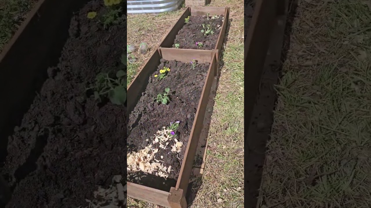 Garden Video 1