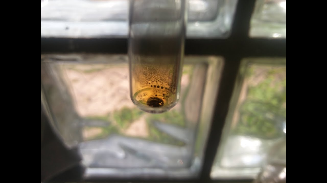 Element exploration: Selenium