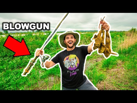 BULLFROG Hunting with a HOMEMADE BLOWDART!!! (Catch Clean Cook)