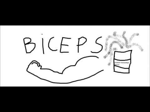 PARAPET&SEDES -Cała prawda o limance