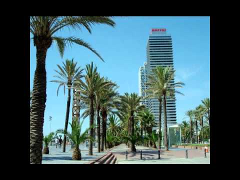 DKay and Epsilon - Barcelona (Orman Bitch Hardtechno Remix)