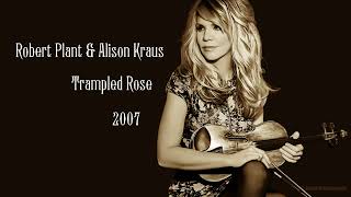 Robert Plant &amp; Alison Krauss - Trampled Rose (2007)