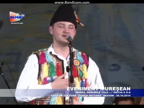 Radu Marinel -Intr-un sat lang-o fantana