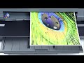 EPSON C11CD81402 - видео