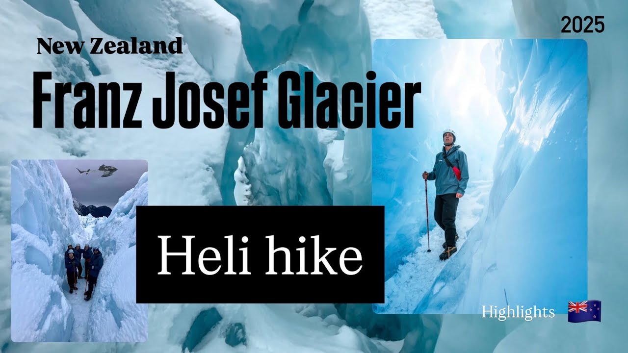 Witness the dramatic contrast of massive Franz Josef Glacier