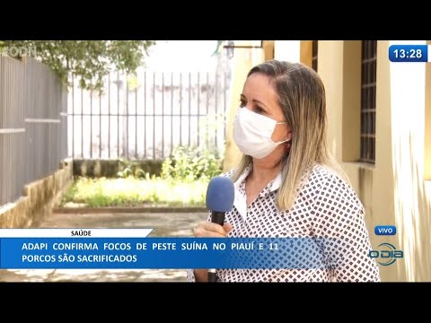 ADAPI confirma focos de Peste Suína no Piauí e 11 porcos são sacrificados 29 03 2021
