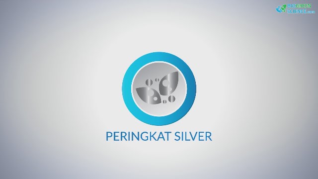 Simulasi Bonus Pairing Peringkat Silver
