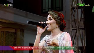 Download lagu Duda Araban - Ayu Tingting || COVER LIVE BEST MUSIC mp3 Download lagu Duda Araban - Ayu Tingting || COVER LIVE BEST MUSIC mp3