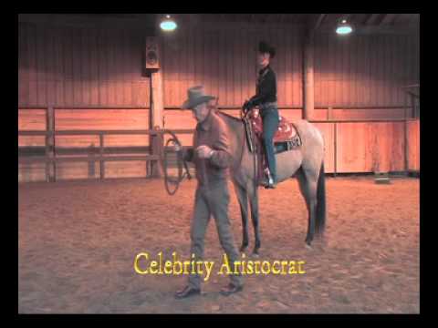 Monty Roberts Willing Partner Horse Celebrity Aristocrat!